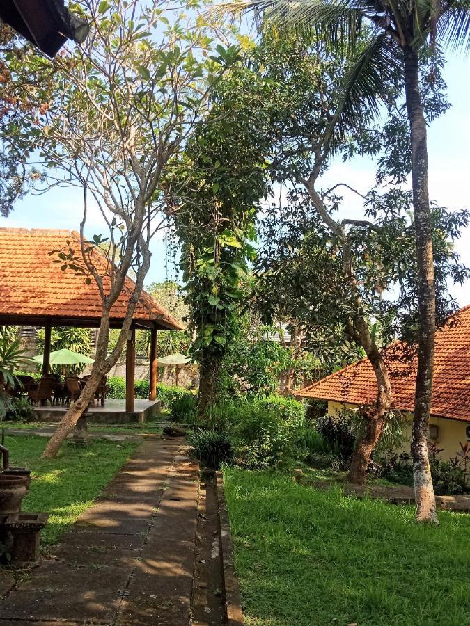 Argasoka Bungalows Ubud Exterior foto